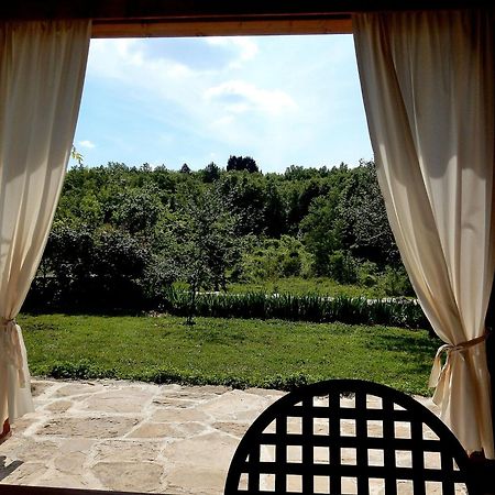 Holiday Home Casa Dei Farfui Momjan Экстерьер фото