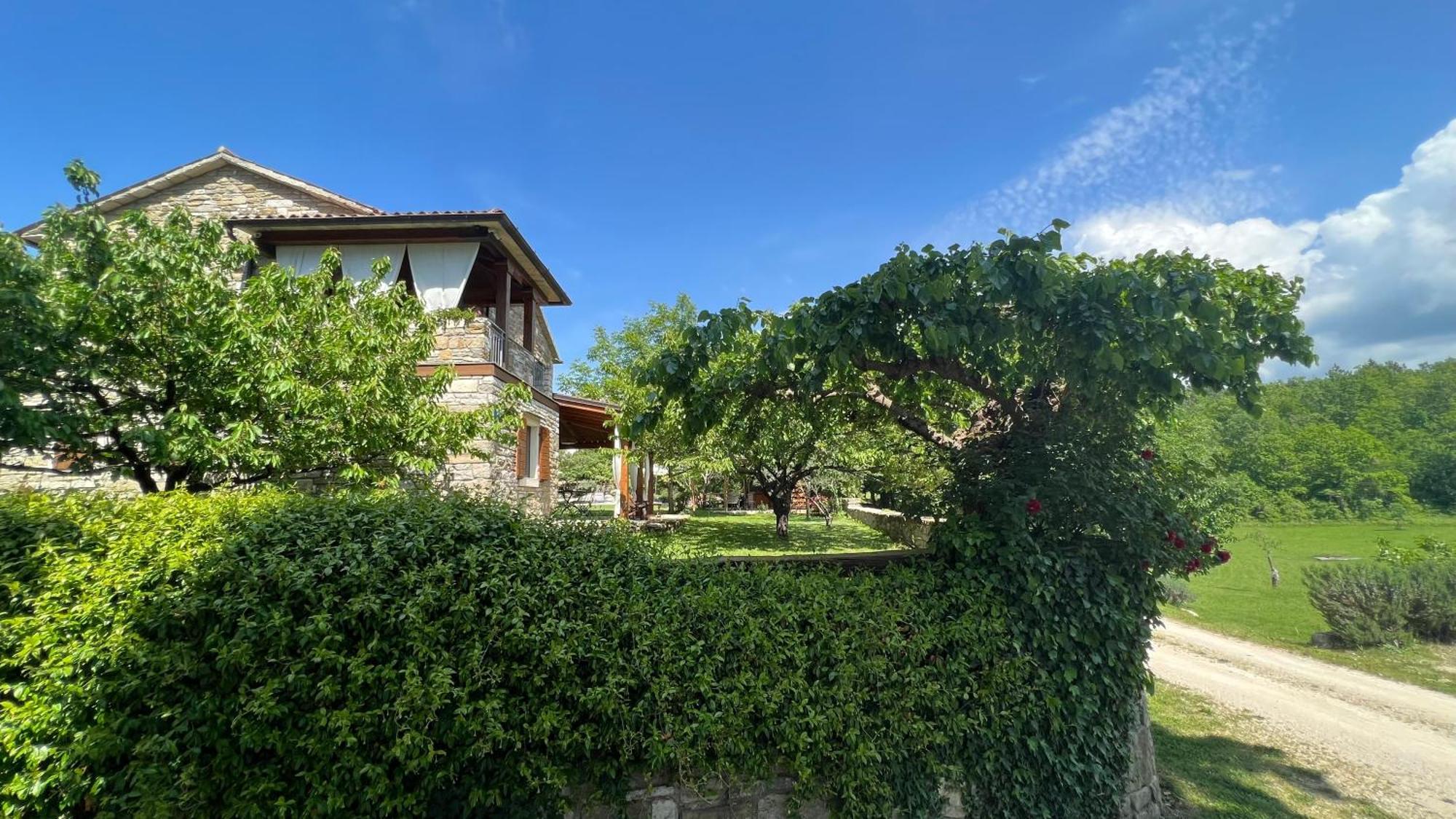 Holiday Home Casa Dei Farfui Momjan Экстерьер фото